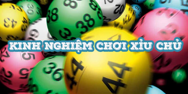Kinh nghiệm chơi xỉu chủ