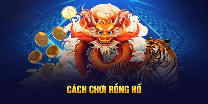 Chia sẻ cách chơi dragon tiger