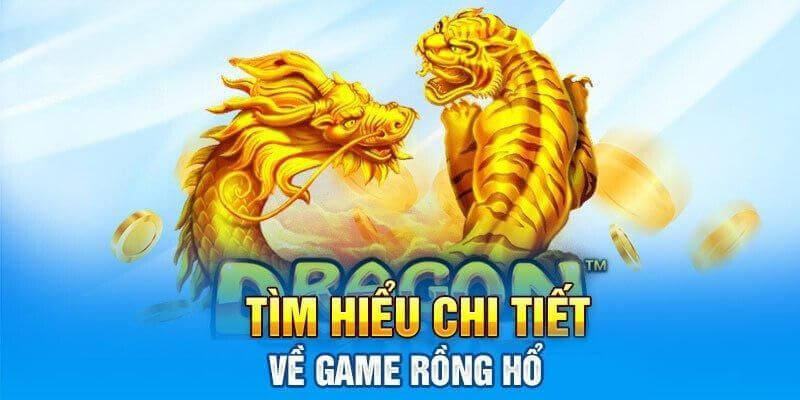 Tìm hiểu về rồng hổ aa88