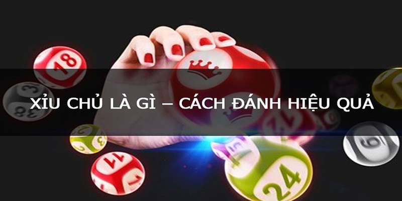 Tìm hiểu về cách chơi xỉu chủ